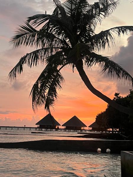 4394-Sri Lanka & All Inclusive Maldives