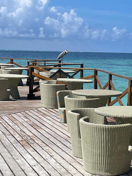 4394-Sri Lanka & All Inclusive Maldives
