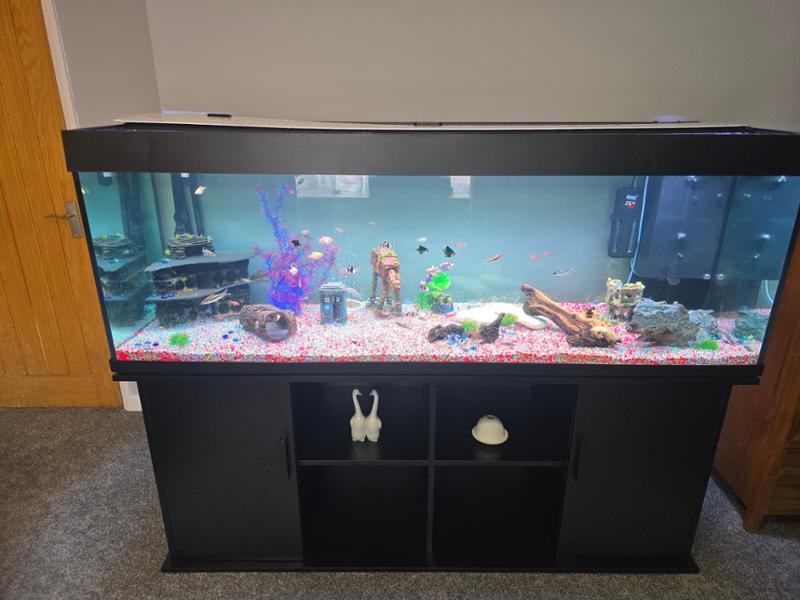 Great tank