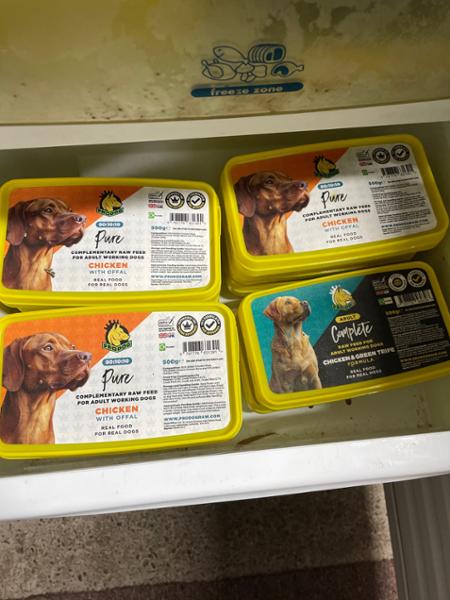 Dog really enjoys this food