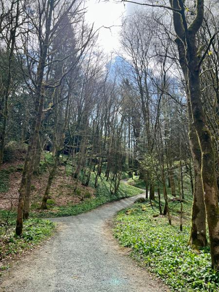 The Dales Way