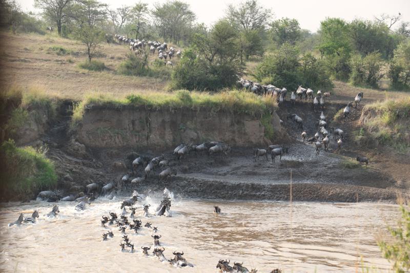 Excellent Trip to Kenya and Tanzania with Go2Africa.