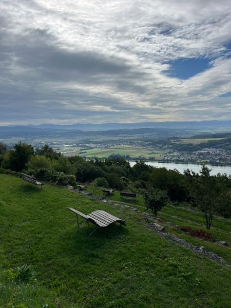 An Idyllic Week along the Danube River