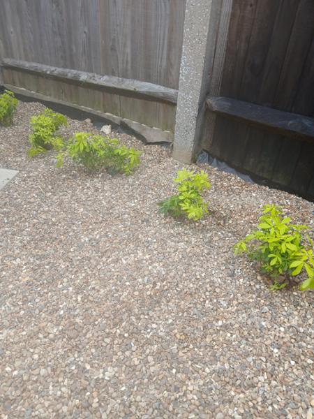 This nursery has excellent plants and a excellent customer service