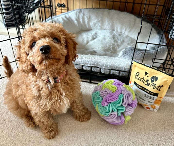 Peanut Butter Dog Treats | 120g | Vegan Dog Treats | Low Fat Training Treats For Dogs | Pooch & Mutt | Grain-Free & Meat-Free