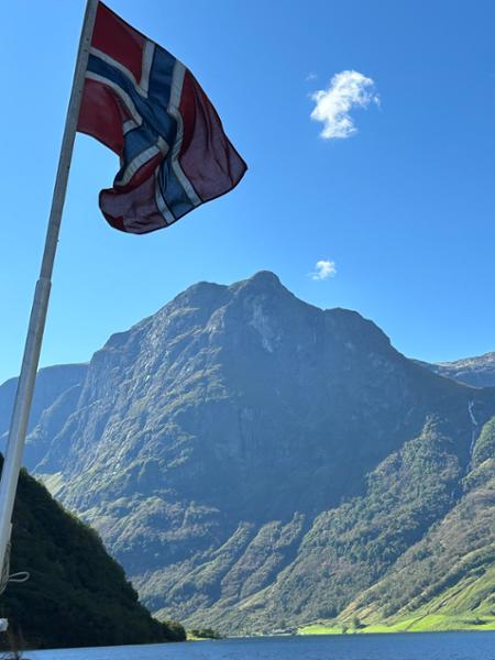 Scandinavian Holiday Dream