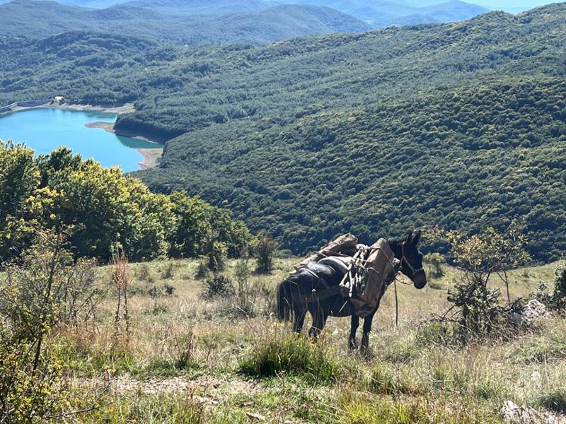 Wonderful walking and wildlife in Abruzzo
