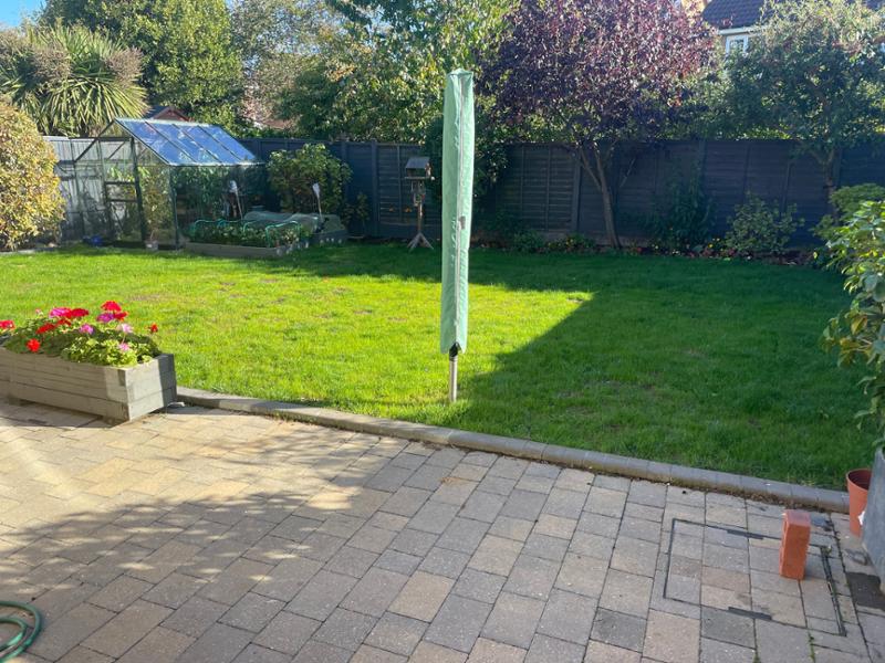 Kids and Pets lawn seed