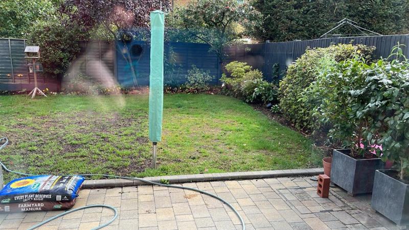 Kids and Pets lawn seed