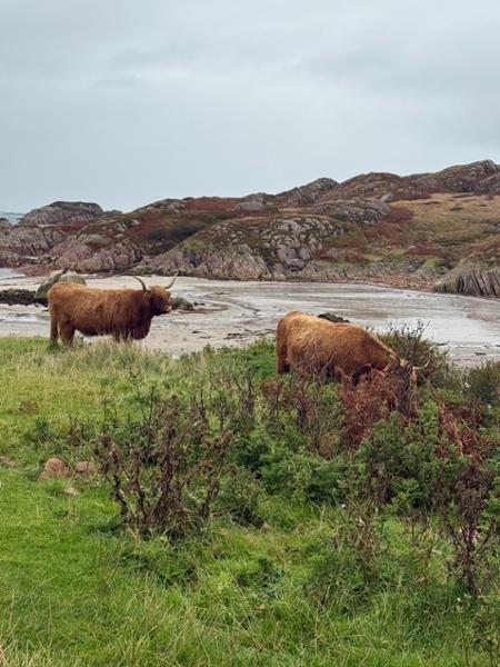 Scottish Journey 9-18 September 2025