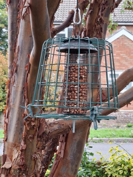 Excellent bird feeder with all important guard