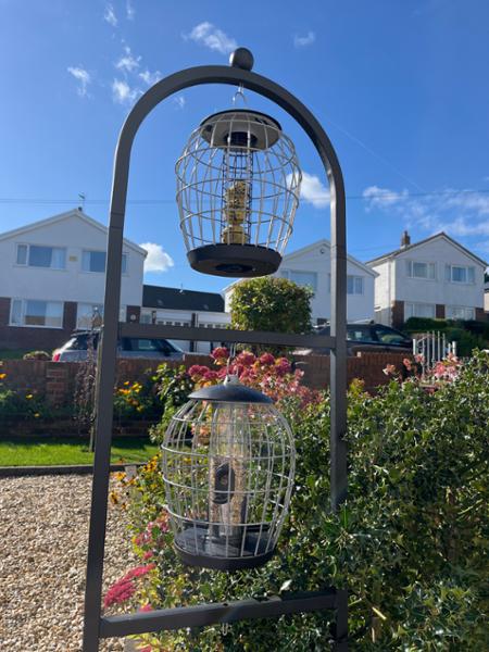 Love My New Bird Feeders!