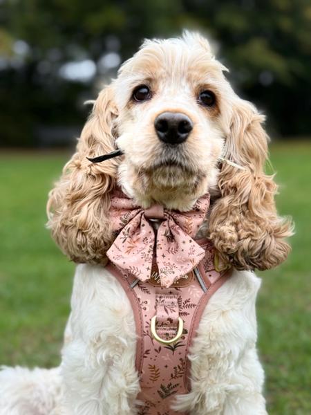 Ravenswood X Nutmeg!