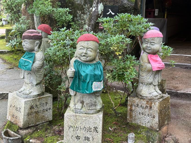 Japan Discovery Tour 2025