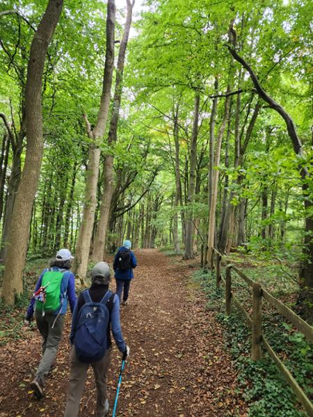 Another wonderful Contours Walking tour