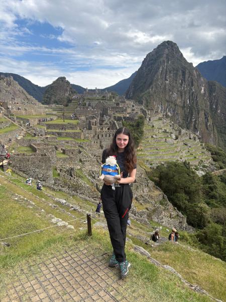 A Peruvian Adventure Alpaca my bags!