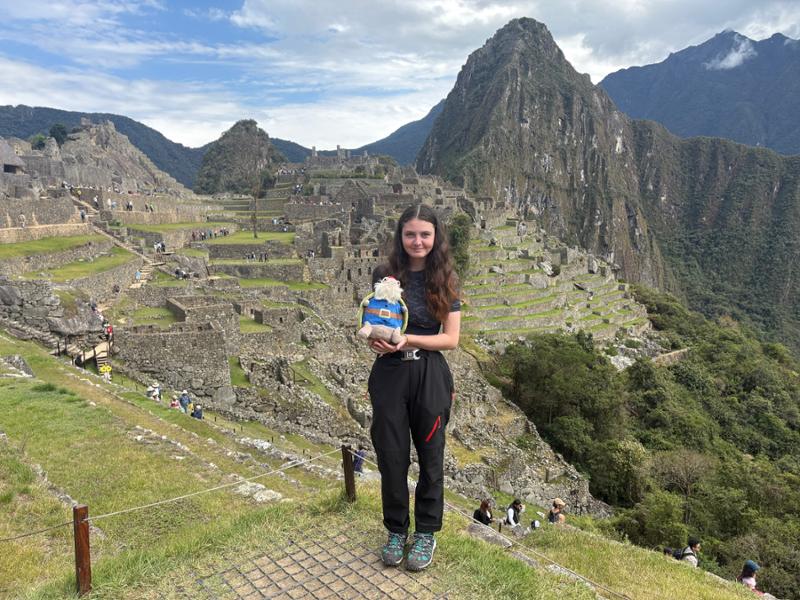 A Peruvian Adventure Alpaca my bags!