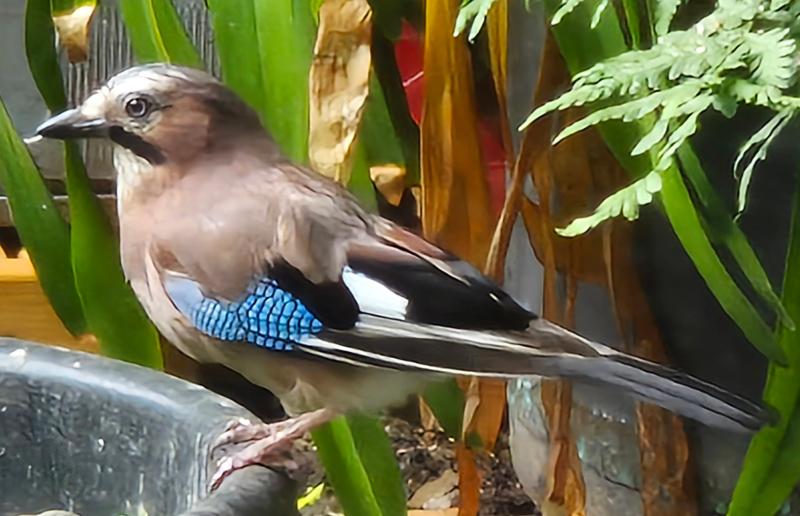 Love this!