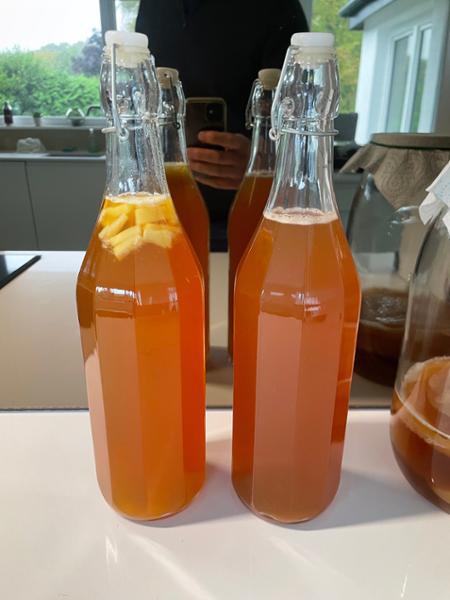 Continuous Brewing scoby pack certified Organic