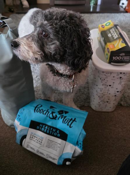 Turkey & Duck Wet Dog Food Multipack | 12 x 375g | Grain-Free Wet Food For Dogs | Pooch & Mutt | Locally Sourced In The UK