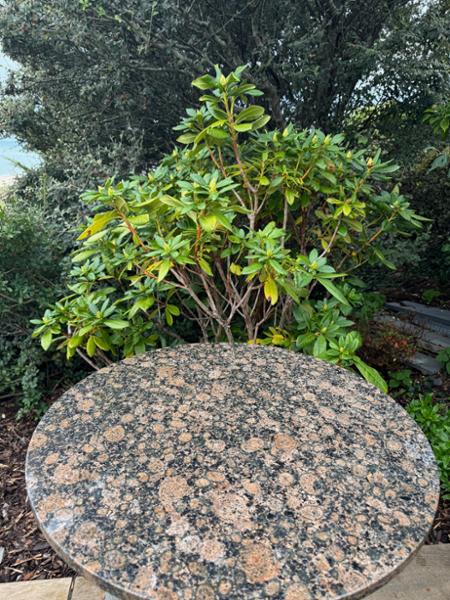 Baltic Brown Granite Table Top