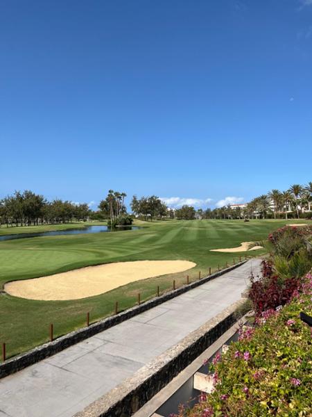 Terrific Tenerife 2025