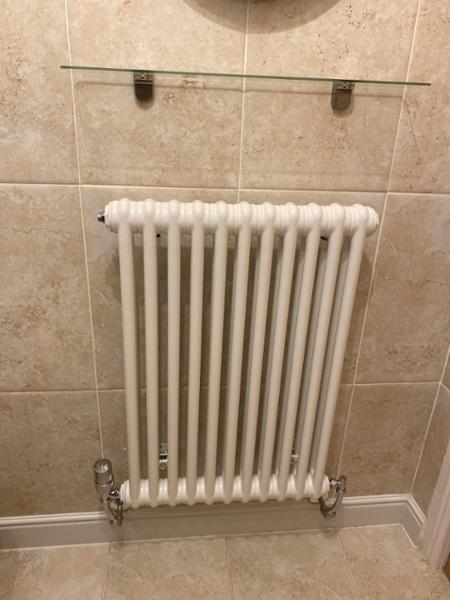 Classic White 2 Column Radiator H750 x W519