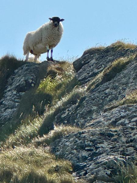 Island hopping the Outer Hebrides