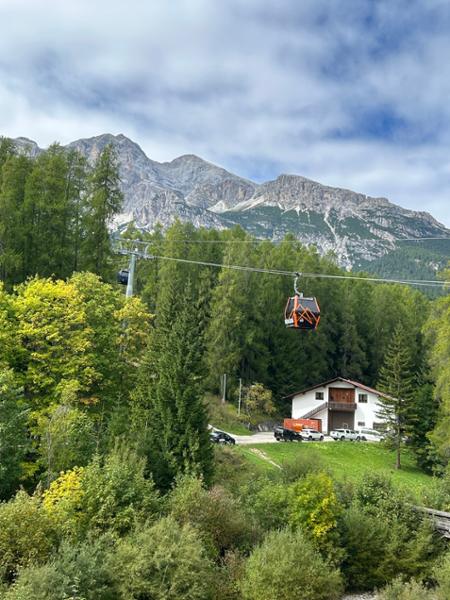 Experience the diverse cultures and stunning landscapes of the Alps