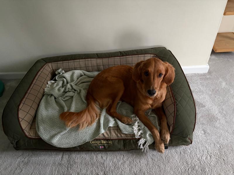 Loved bed!