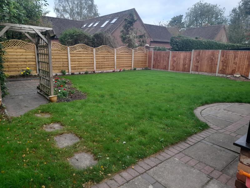 SUPERSTAR: Back Lawn 2KG