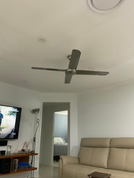 S/s fan