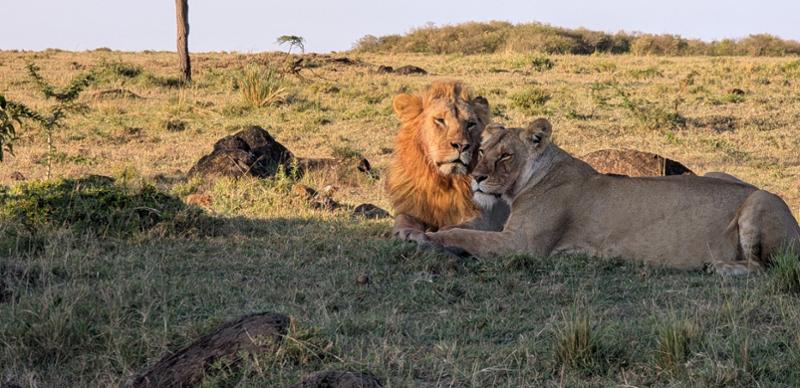 Go2Africa Really Knows How to Create the Perfect Africa Holiday