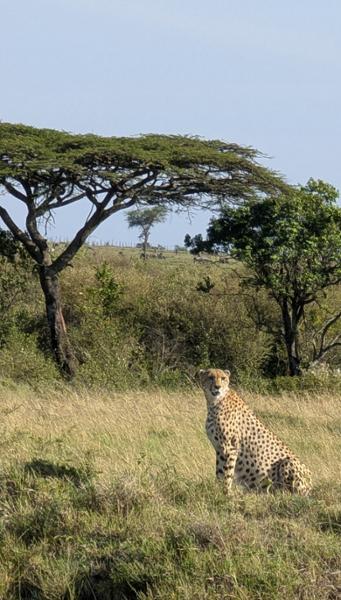 Go2Africa Really Knows How to Create the Perfect Africa Holiday