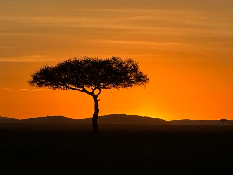 Karen Blixen Camp in the Mara North Conservancy, Kenya