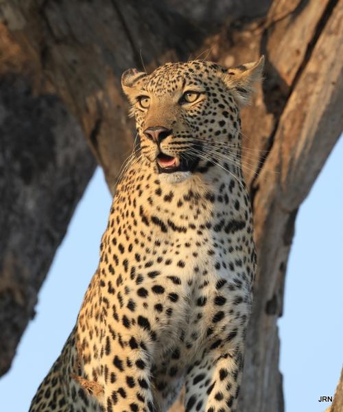 Choose Go2Africa for a seamless and enjoyable trip!