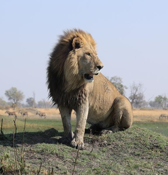Choose Go2Africa for a seamless and enjoyable trip!