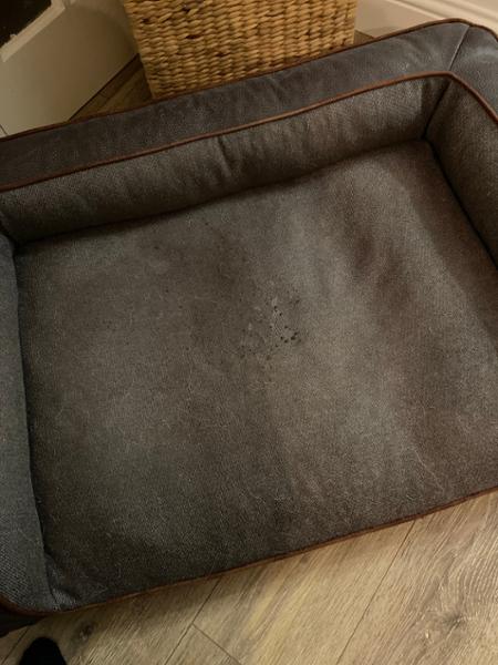 Dog bed