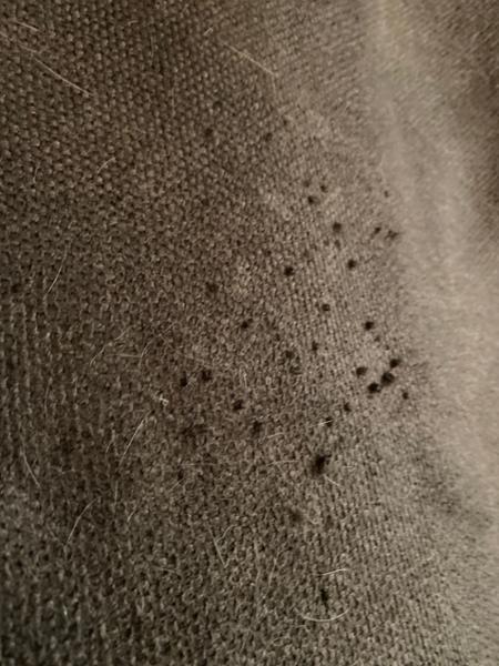 Dog bed