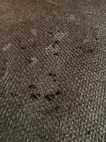 Dog bed