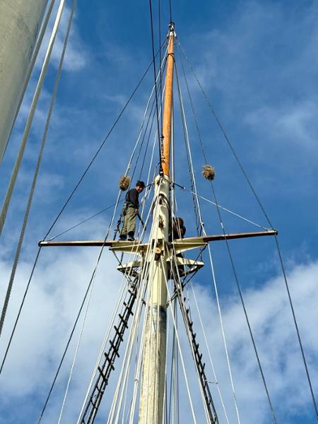 Great voyage just a shame I was seasick so missed some of the fun.