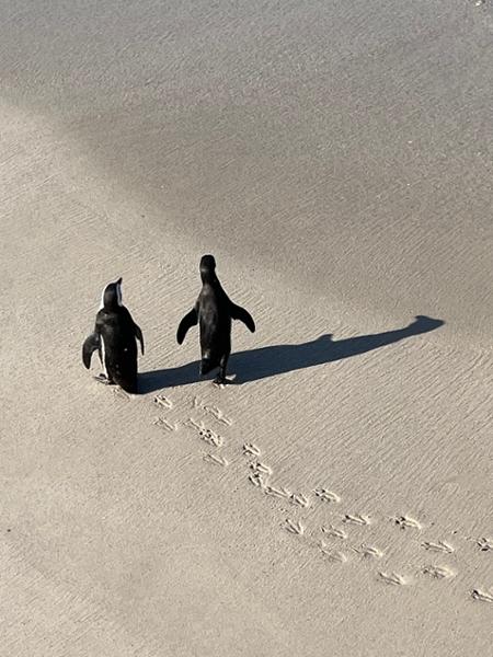 Wilderness of Southern Africa: Safari by Land & Water on 04/24/2026