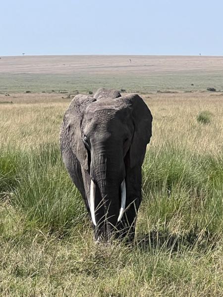 Stellar service by Jody & Carla for Kenya, Tanzania, Capetown & Namibia