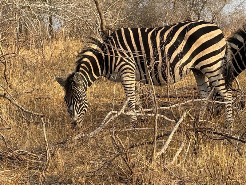 Best South Africa Experience