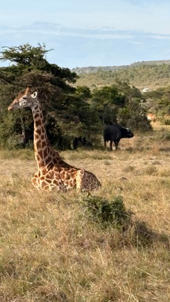 Our Go2Africa vacation with Saruni Basecamps was amazing