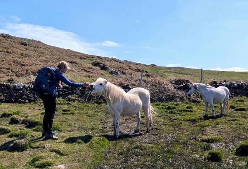 The BEST way to walk the UK!