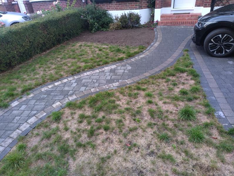 Good new lawn from Rolawn!