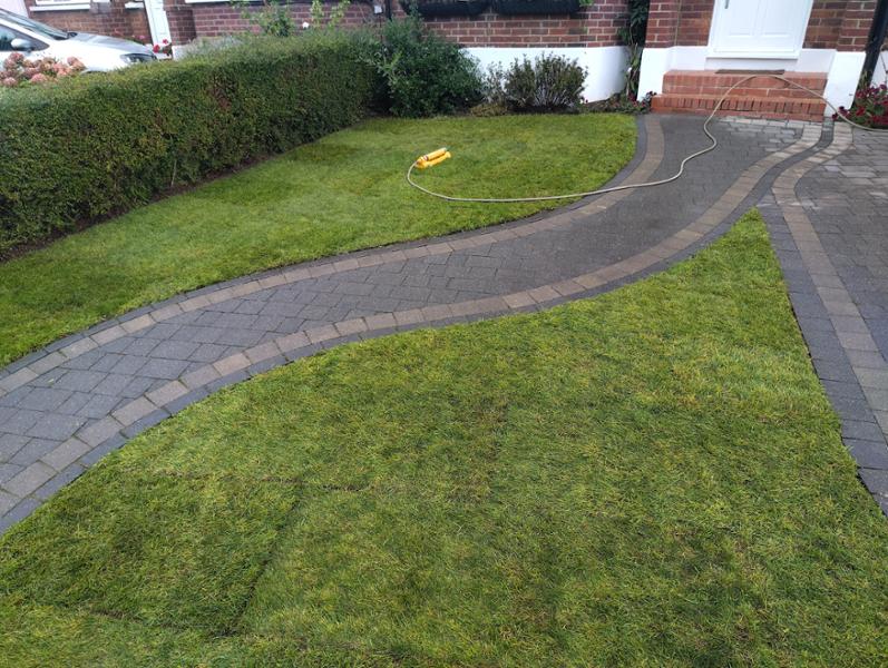 Good new lawn from Rolawn!