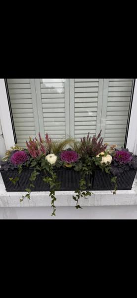 Garden Trading Vence Window Box