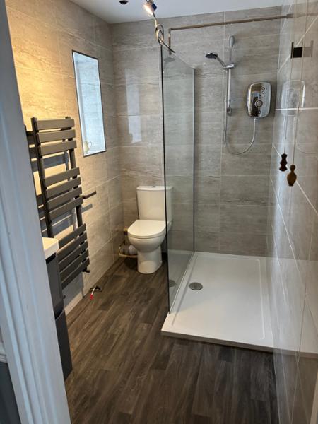 triton chrome shower